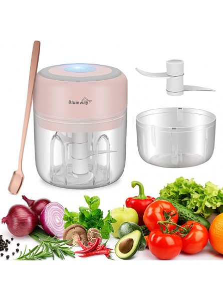 BlumWay 2 Pieces Mini Onion Cutter Electric Kitchen Chopper Multi Chopper with USB Rechargeable Garlic Cutter for Baby Food Meat Garlic Fruit 250 & 100ml - VORMBPES
