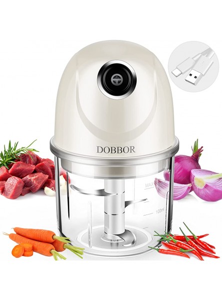 Mini Chopper Electric DOBBOR USB Charging Small Food Processor with 200ML Container 304 Stainless Steel Blade 45W Powerful Food Chopper for Fruit Onion Garlic Vegetables Nuts Meat Baby Food - LUYPFASY