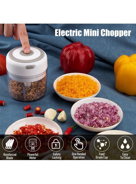Mini Food Processor,Electric Garlic Chopper,USB Charging Garlic Masher Food Chopper with 3 Sharp Blades Food Processor for Kitchen Baby Food Chopper and Grinder,Maker Grinder -250ML C - JWBQE6E3
