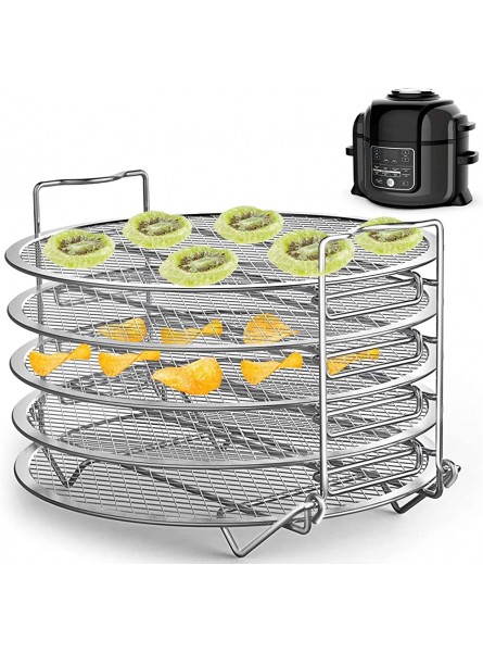 BT Chou Air Fryer Dehydrator Rack Compatible with Ninja Foodi 6.5Qt & 8Qt Food Grade Stainless Steel Stand Accessories 5 Stackable Dehydrating Rack Grill for Air Fryer Oven Pets - HHEPST8T