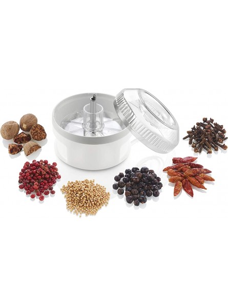 ESGE-Zauberstab® 5080 processor including powder disc with double-winged stainless steel blade for crushing grinding or chopping spices herbs nuts etc. - QVLN1B54