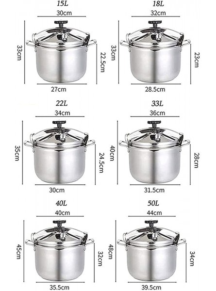 DICOINA Household 304 Stainless Steel Explosion-Proof Safety Large Capacity Multi-Function Large Pot Induction Cooker Gas Stove Suitable For Hotels,Restaurants Etc. 33L - NYPHSFI6